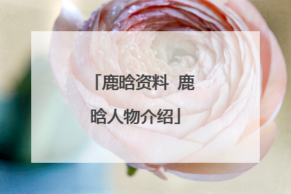 鹿晗资料 鹿晗人物介绍