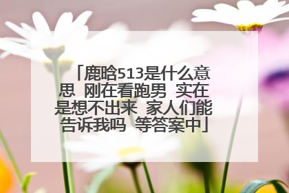 鹿晗513是什么意思 刚在看跑男 实在是想不出来 家人们能告诉我吗 等答案中