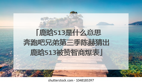 鹿晗513是什么意思 奔跑吧兄弟第三季陈赫猜出鹿晗513被赞智商爆表