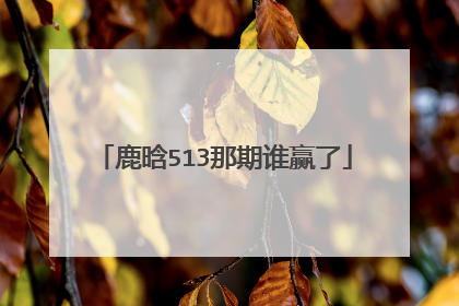 鹿晗513那期谁赢了