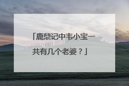 鹿鼎记中韦小宝一共有几个老婆？