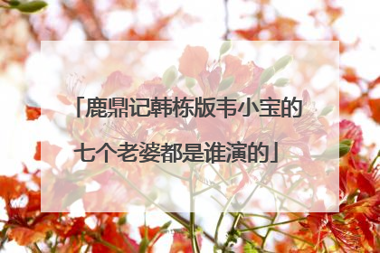 鹿鼎记韩栋版韦小宝的七个老婆都是谁演的