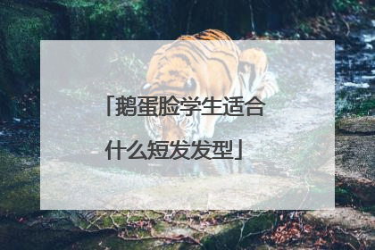 鹅蛋脸学生适合什么短发发型