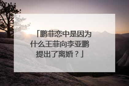 鹏菲恋中是因为什么王菲向李亚鹏提出了离婚？