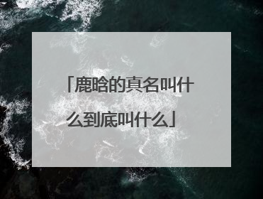 鹿晗的真名叫什么到底叫什么