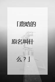 鹿晗的原名叫什么？