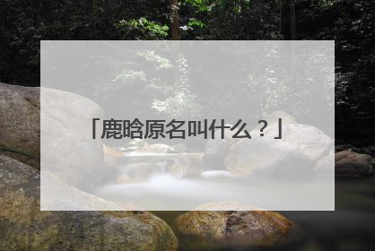 鹿晗原名叫什么？