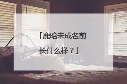 鹿晗未成名前长什么样?