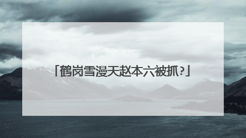 鹤岗雪漫天赵本六被抓?