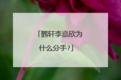 鹤轩李嘉欣为什么分手?