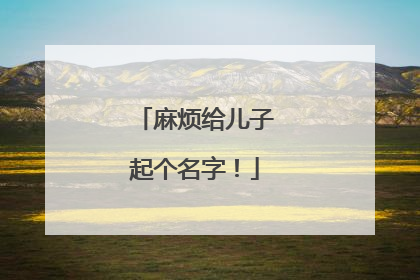 麻烦给儿子起个名字!