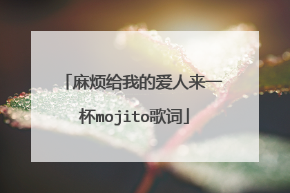 麻烦给我的爱人来一杯mojito歌词