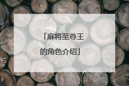 麻将至尊王的角色介绍