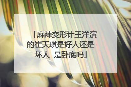 麻辣变形计王洋演的崔天琪是好人还是坏人 是卧底吗