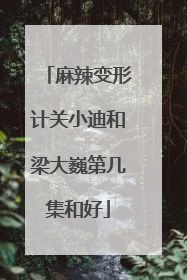 麻辣变形计关小迪和梁大巍第几集和好