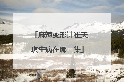 麻辣变形计崔天琪生病在哪一集