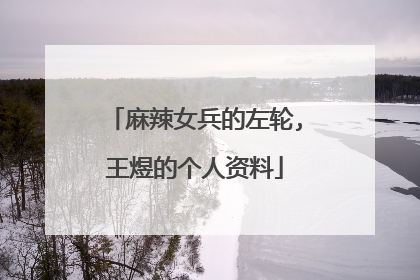 麻辣女兵的左轮,王煜的个人资料