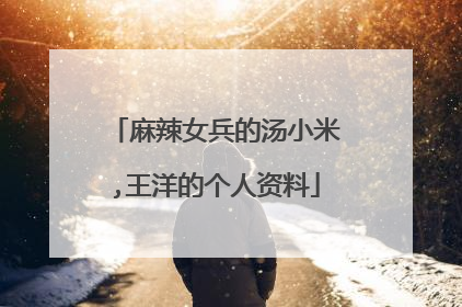 麻辣女兵的汤小米,王洋的个人资料