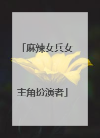 麻辣女兵女主角扮演者