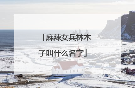 麻辣女兵林木子叫什么名字