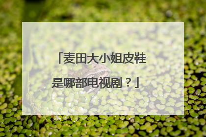 麦田大小姐皮鞋是哪部电视剧？