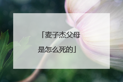 麦子杰父母是怎么死的