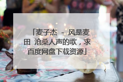 麦子杰 - 风是麦田 沧桑人声的歌，求百度网盘下载资源