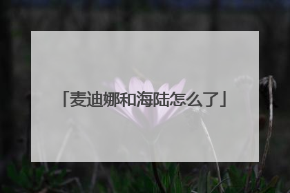 麦迪娜和海陆怎么了