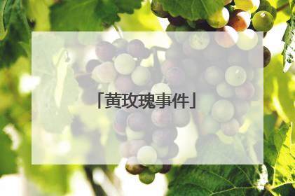 黄玫瑰事件
