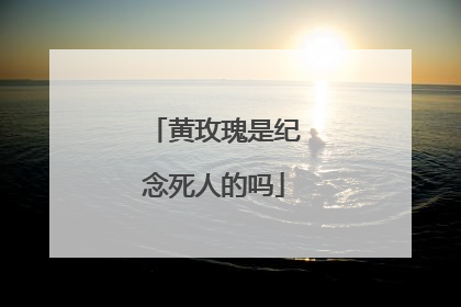 黄玫瑰是纪念死人的吗