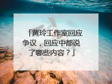 黄玲工作室回应争议,回应中都说了哪些内容?