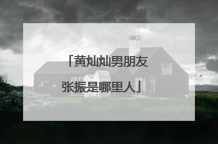 黄灿灿男朋友张振是哪里人