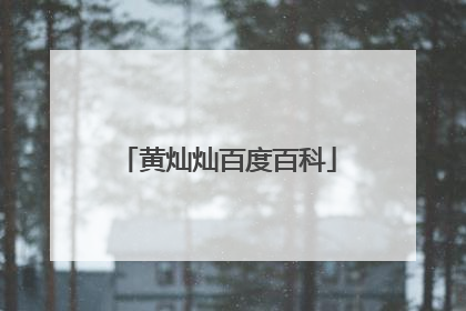 黄灿灿百度百科