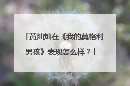 黄灿灿在《我的莫格利男孩》表现怎么样?