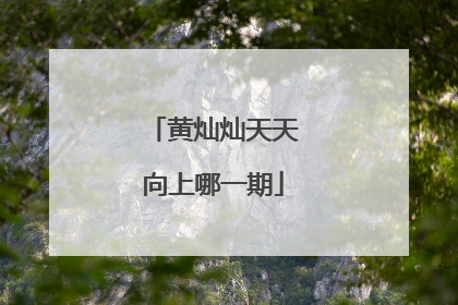 黄灿灿天天向上哪一期