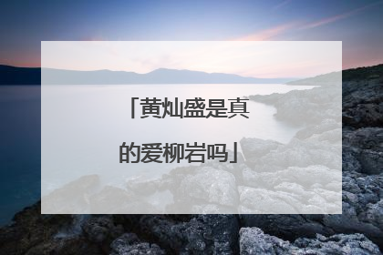 黄灿盛是真的爱柳岩吗