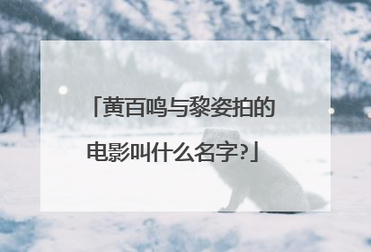 黄百鸣与黎姿拍的电影叫什么名字?