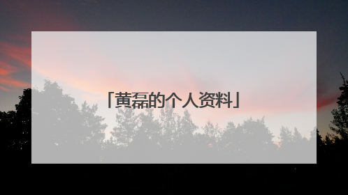 黄磊的个人资料