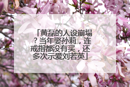 黄磊的人设崩塌?当年娶孙莉,连戒指都没有买,还多次示爱刘若英