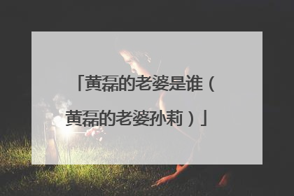 黄磊的老婆是谁(黄磊的老婆孙莉)