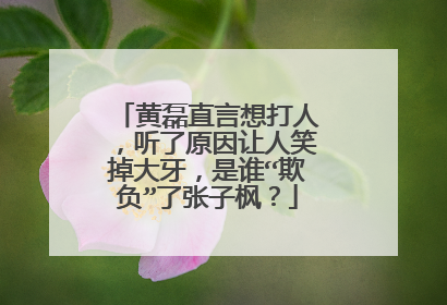 黄磊直言想打人,听了原因让人笑掉大牙,是谁“欺负”了张子枫?