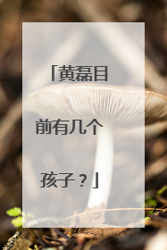 黄磊目前有几个孩子？