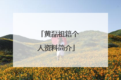 黄磊祖籍个人资料简介