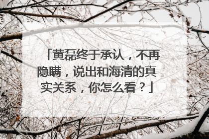 黄磊终于承认，不再隐瞒，说出和海清的真实关系，你怎么看？