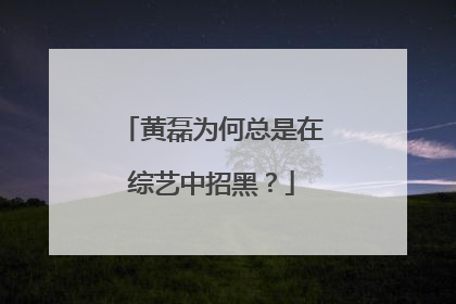 黄磊为何总是在综艺中招黑？