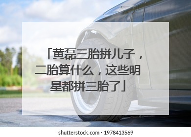 黄磊三胎拼儿子，二胎算什么，这些明星都拼三胎了