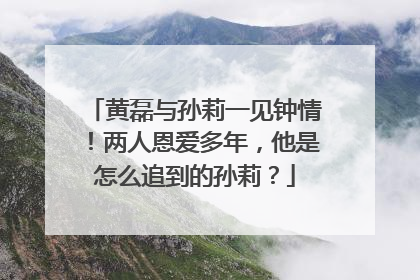黄磊与孙莉一见钟情！两人恩爱多年，他是怎么追到的孙莉？