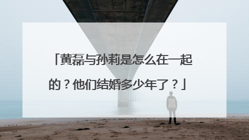 黄磊与孙莉是怎么在一起的？他们结婚多少年了？