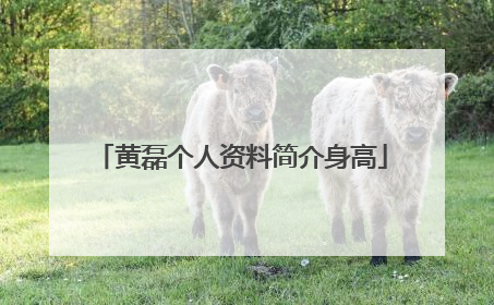 黄磊个人资料简介身高