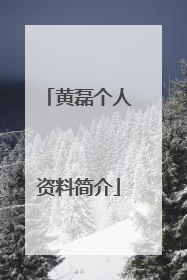 黄磊个人资料简介